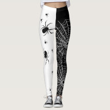 Araignée noire et blanche