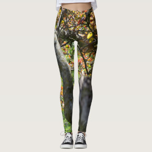 Leggings Arbre dans la photographie d'automne