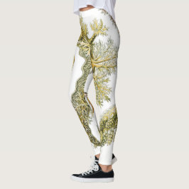 Leggings Boues de mer par Ernst Haeckel, Nudibranchia Vinta