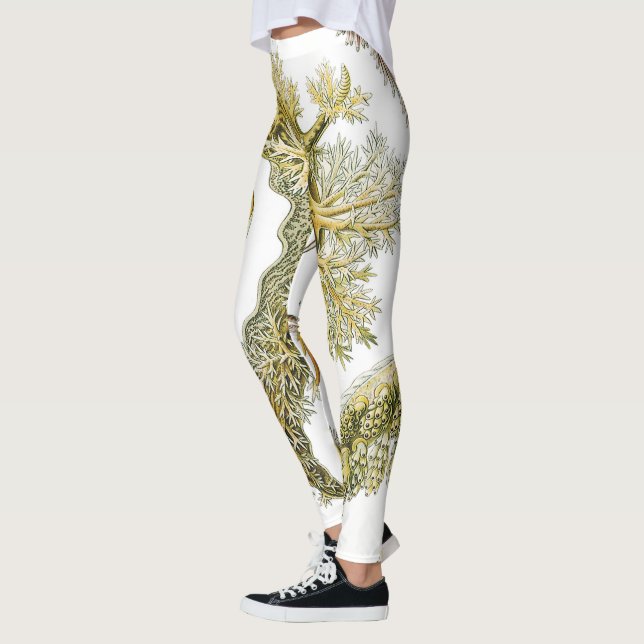 Leggings Boues de mer par Ernst Haeckel, Nudibranchia Vinta (Gauche)