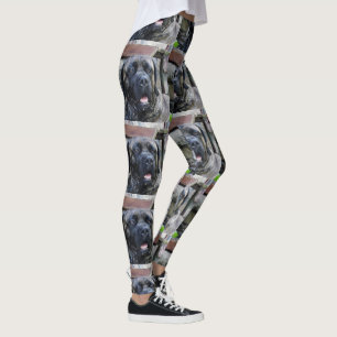 Leggings bracelet gris de canne corso
