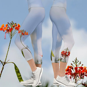 Leggings Capri Flamboyant Royal Poinciana Flowers on Blue