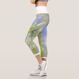 Leggings Capri Fleurs de cerisier d'oiseaux Sky