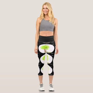 Leggings Capri peinture d'arbre km capri