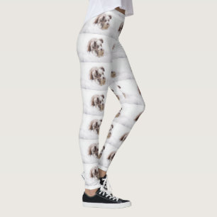Leggings chiot merle rouge australien