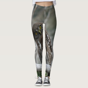 Leggings Chouette pygmée du Nord