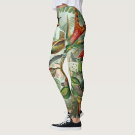 Leggings Colibris par Ernst Haeckel, Oiseaux Vintages