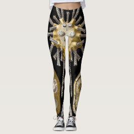 Leggings Dollars de sable d'oursins de mer vintage par Erns