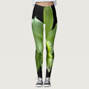 Leggings d'orchidées vertes de chaux sur un Arrièr