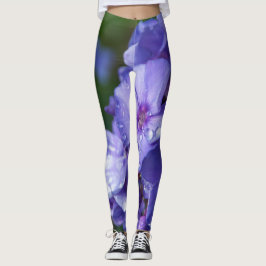 Leggings Fleur Violet mit Morgenrosen
