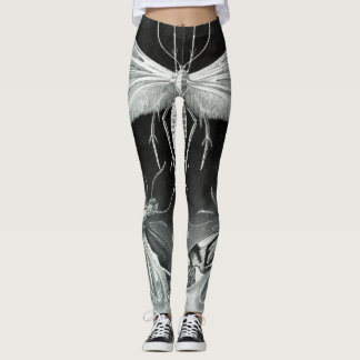 Leggings Guêtres de naturaliste de mite