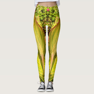 Leggings Guêtres de YouYou Canna