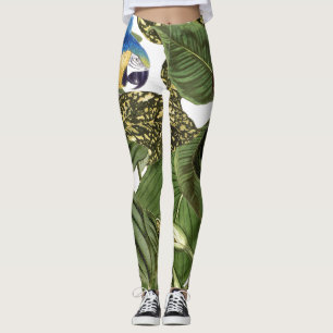 Leggings Guêtres d'impression d'oiseau de perroquet d'ara