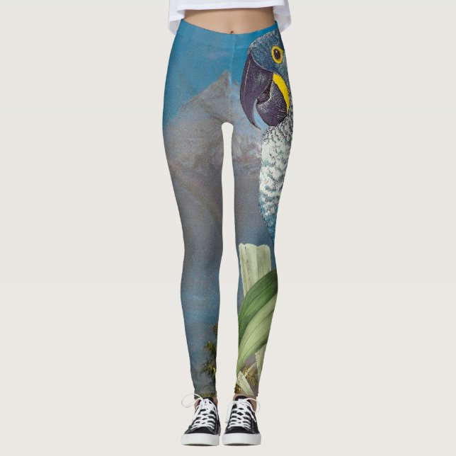 Leggings Guêtres d'impression d'oiseau de perroquet d'ara (Devant)