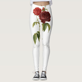 LEGGINGS HEUREUX LÉGUMES DE GRAINES AVEC ROSE