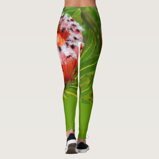 LEGGINGS KARIKARI BLOOM (Dos)
