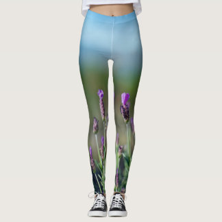 Leggings Lavande