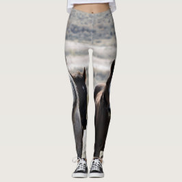 Leggings Le feu de forêt, Driifter, et guêtres d'Ohye