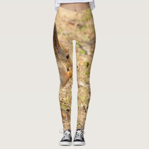 Leggings L'écureuil mignon mange une photo de noix