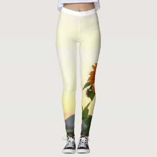 Leggings légumineuses de tournesol