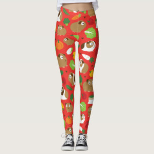 Leggings Les Cochons De Guinée Et Leurs Traitements