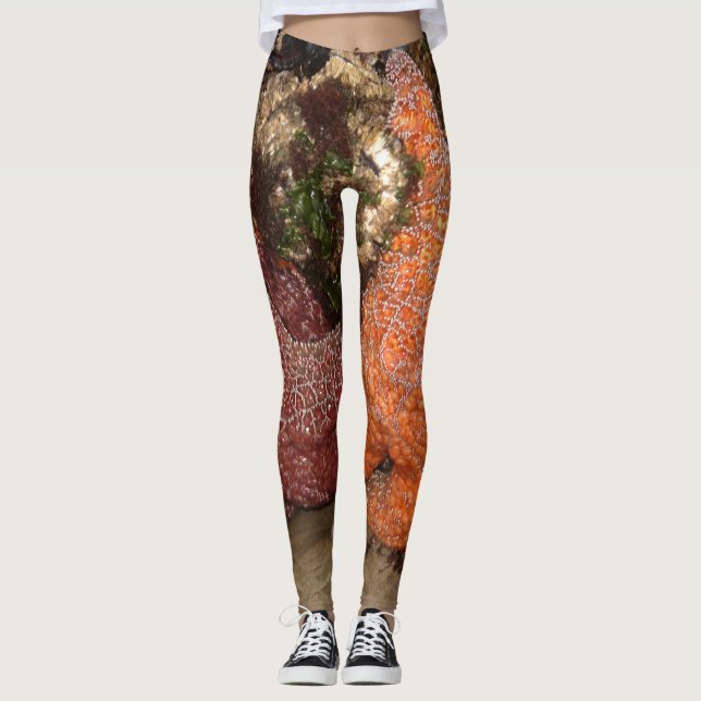 Leggings Les étoiles de mer/étoiles de mer dans le canon (Devant)