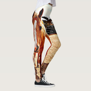 Leggings Les guêtres des femmes de cheval de palomino