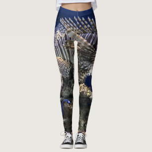 Leggings Lionfish dans l'aquarium