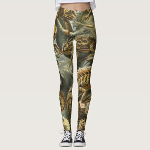 Leggings Lizards par Ernst Haeckel Vintage Lacertilia Anima