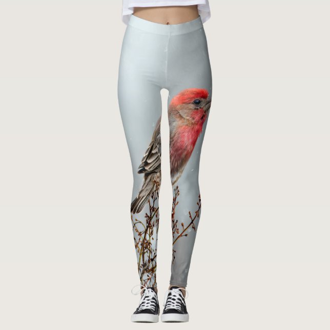 Leggings Maison Finch en Neige - Photo originale (Devant)