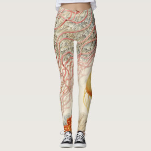 Leggings Méduse - Ernst Haeckel
