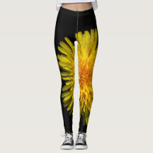 Plantes sur le pissenlit jaune de pantalon