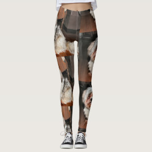 Leggings Shih Tzu