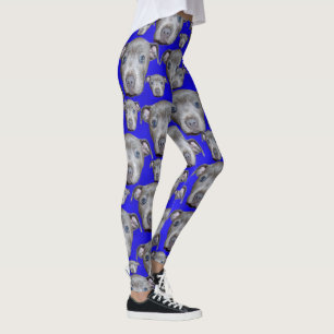 Leggings Stafforshire Bull Terrier Puppy Face,