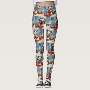 Leggings Tervueren Boston Terrier dans un traîneau Laissez