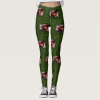 torse masculin six pack ventre nu de SlipperyJoe
