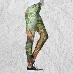 Leggings Usines vintages de mousse par Ernst Haeckel,