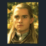 LEGOLAS GREENLEAF™ Golden Glow Poster<br><div class="desc">Lord of the Rings: Fellowship of the Ring</div>