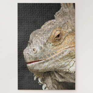 Leguan