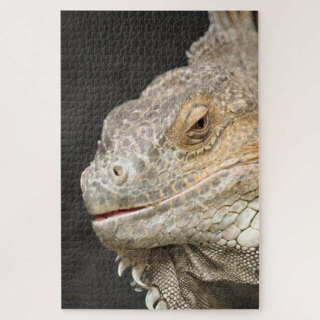 Leguan (Vertikal)