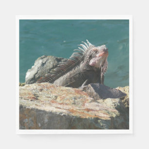 Leguan auf St. Thomas Serviette
