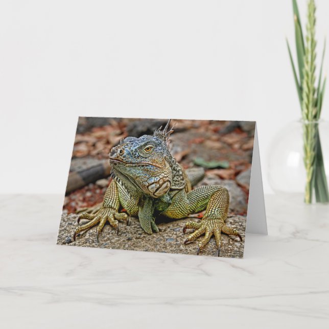 Leguan-Gruß-Karte Karte (Vorderseite)