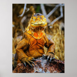 Leguan Reptil Kunst Poster