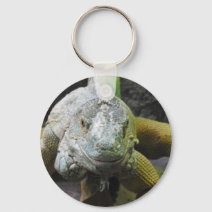 Leguan-Schlüsselring Schlüsselanhänger