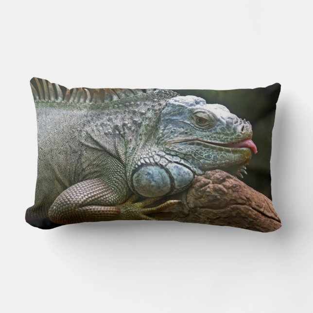 Leguan-Wurfskissen Lendenkissen (Vorderseite)