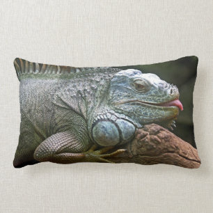 Leguan-Wurfskissen Lendenkissen