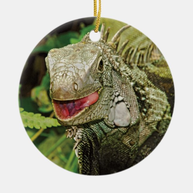 Leguane, die Geschenkverzierungen hängen Keramikornament (Vorne)