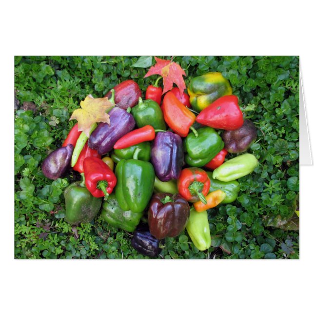 Légumes colorés et Feuilles de l'érable (Devant horizontal)