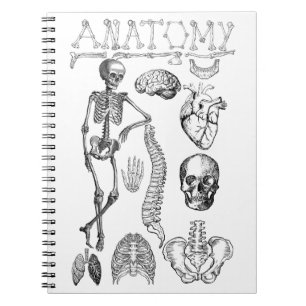 Lehrbuch zur menschlichen Anatomie für Hinweise Notizblock