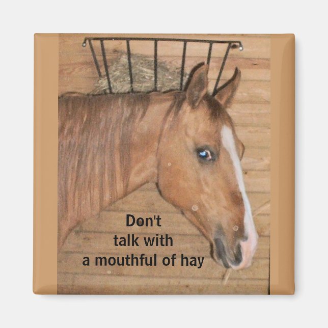 Lehren aus der Mama - Magnet (Vorne)